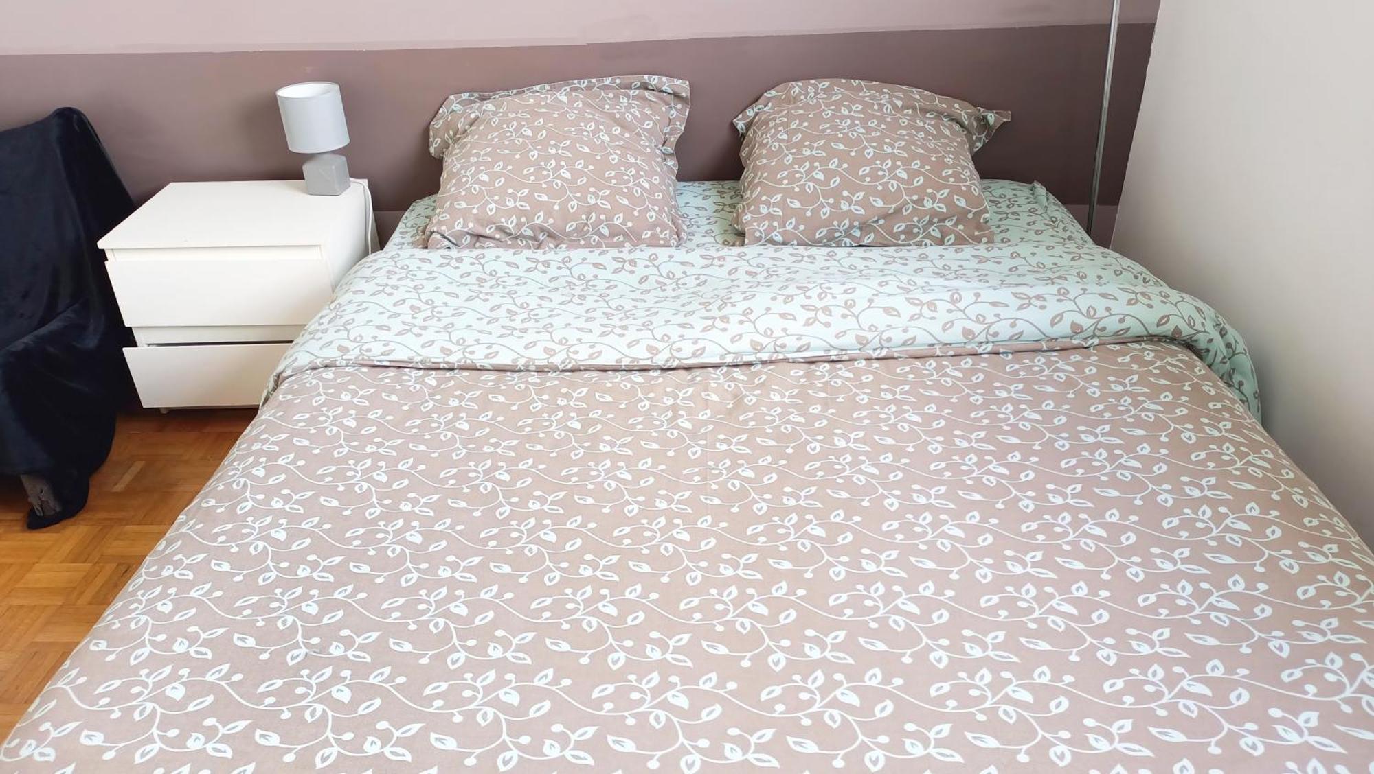 Quiet Bedroom, Comfy King Size Bed, Shared Bathroom, Center Homestay Paris